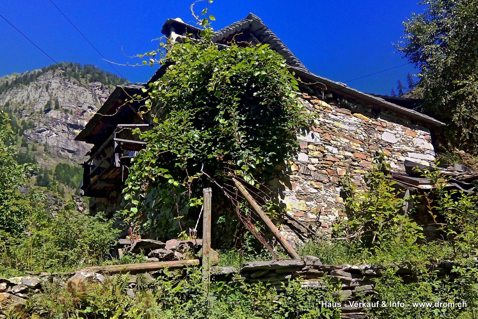Südfassade mit Berg