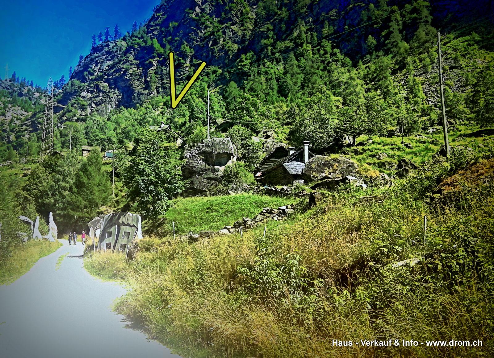 Haus von der Strasse aus 